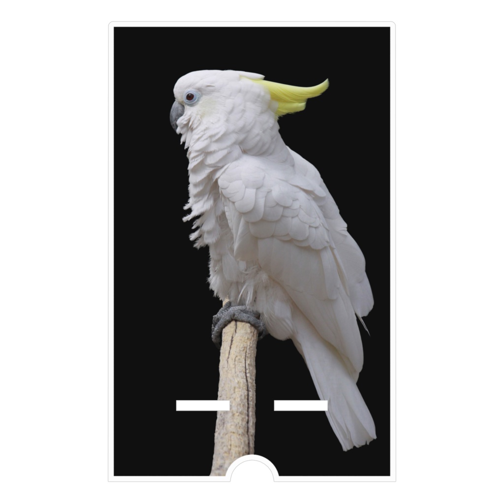 オウム アクリルスマホスタンド(ケーブル穴あり)