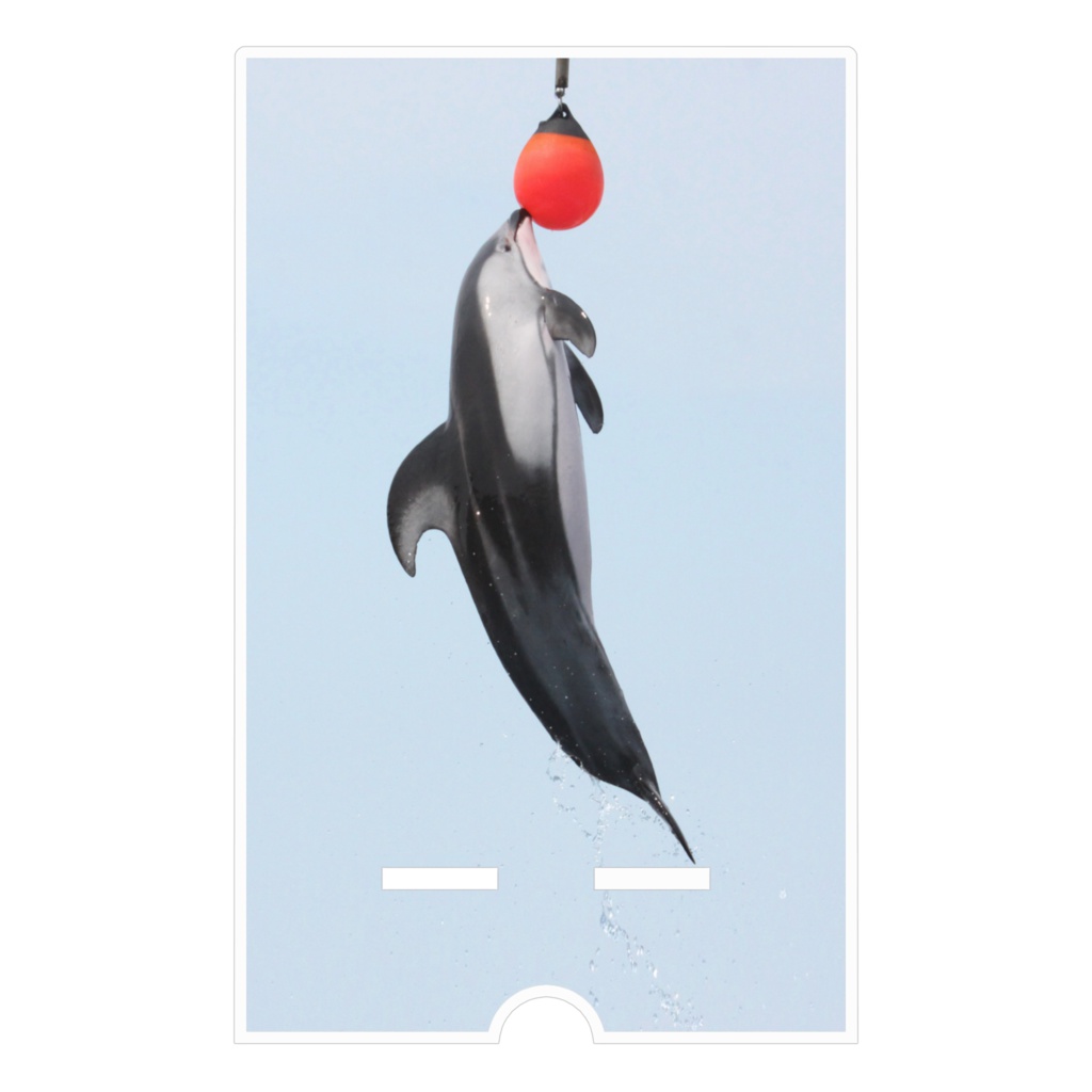 イルカ アクリルスマホスタンド(ケーブル穴あり)