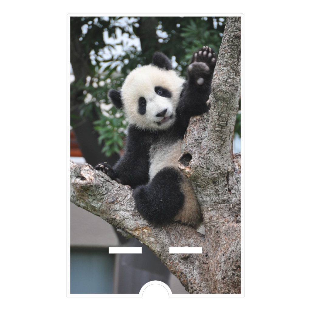 パンダ アクリルスマホスタンド(ケーブル穴あり)