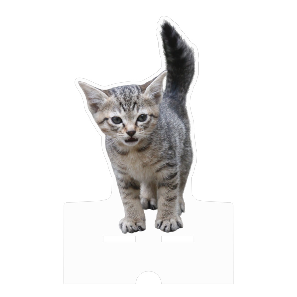 子猫 アクリルスマホスタンド(ケーブル穴あり)クリアカット