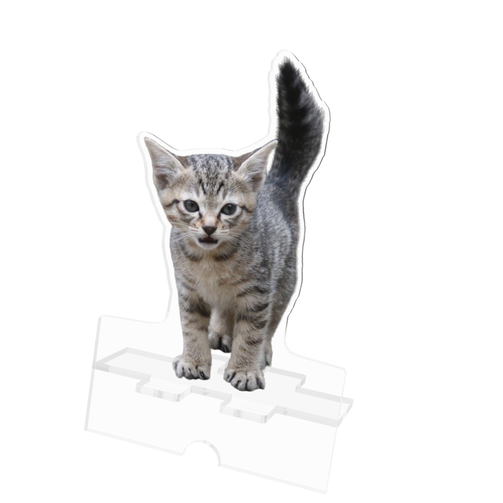 子猫　アクリルスマホスタンド（ケーブル穴あり）クリアカット