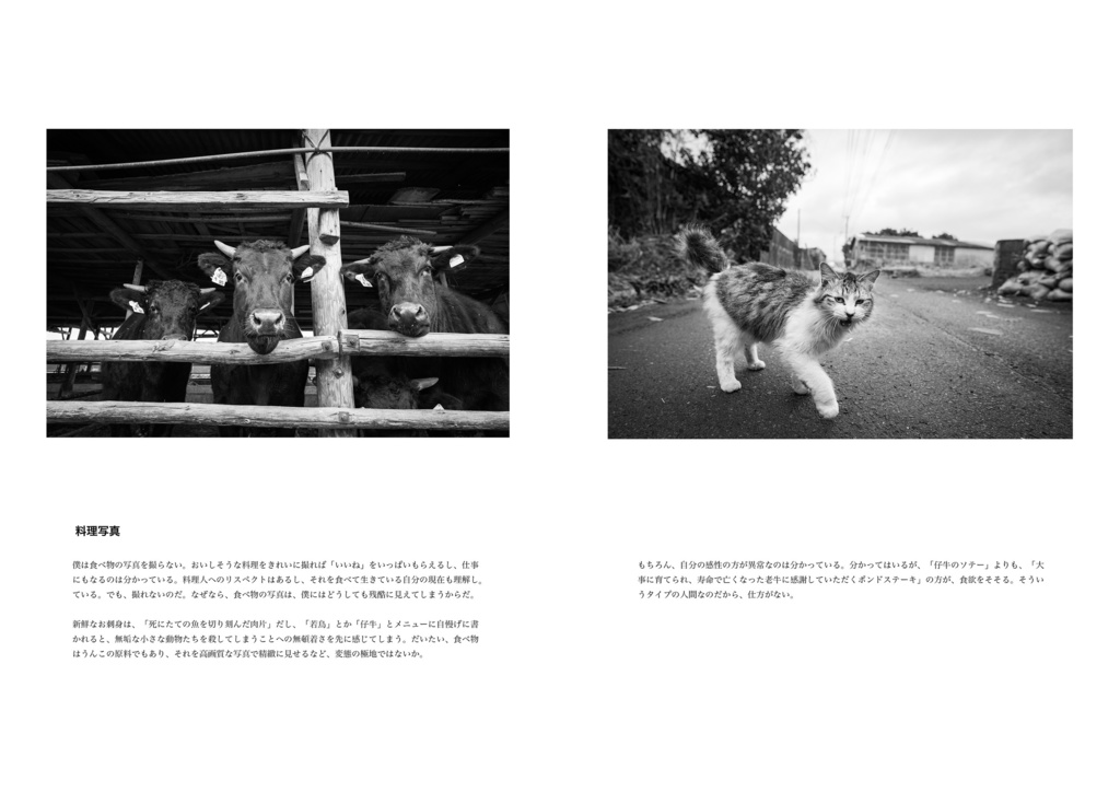 内村コースケ写真集「人間の視線」