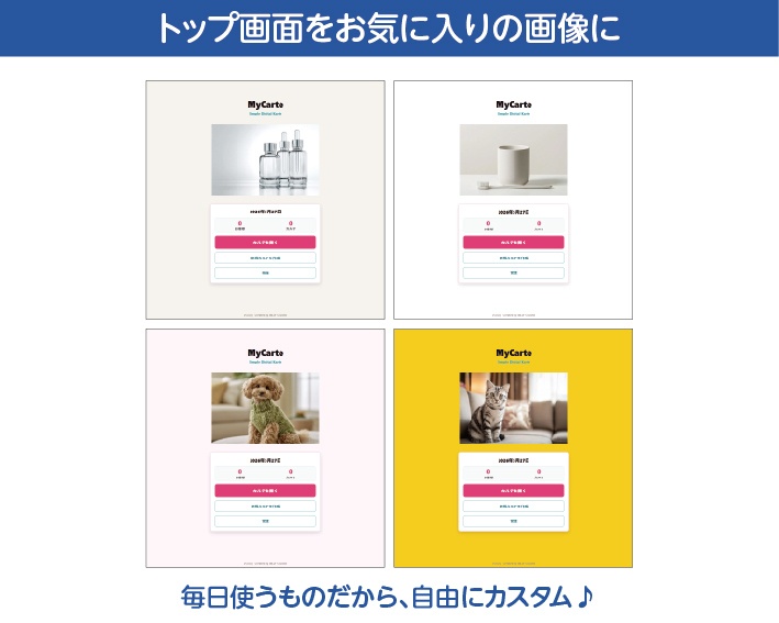 MyCarte(マイカルテ)for Windows ポータブル版