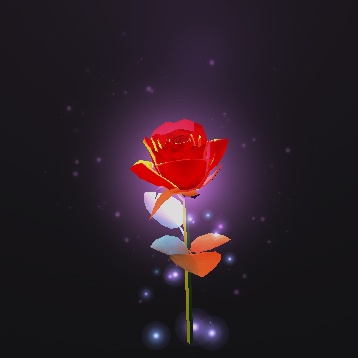 Dazzling rose