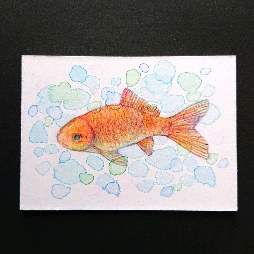 ATC原画「思い出の金魚」