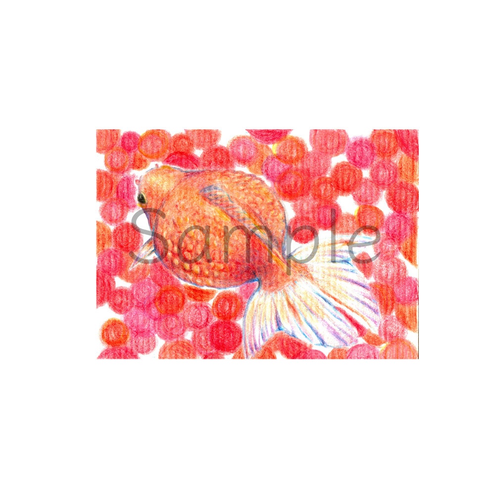 ATC原画「ガラス玉金魚」