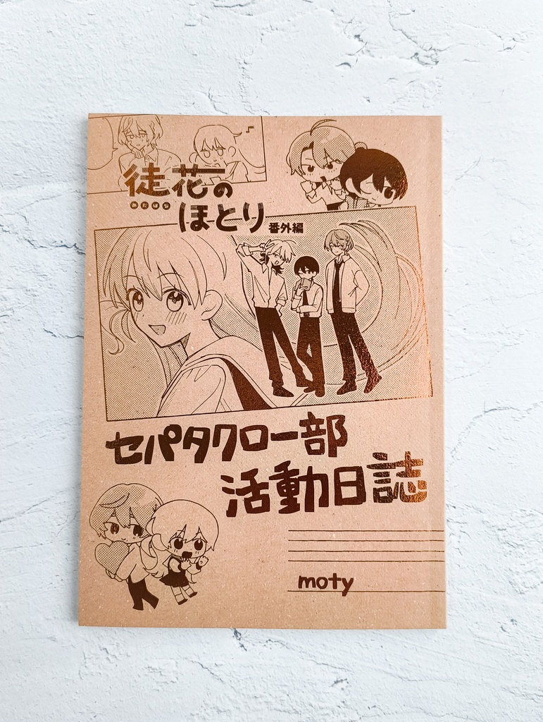 セパタクロー部活動日誌