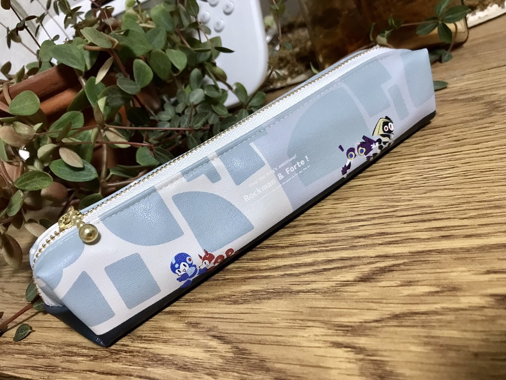 KGNのペンポーチ