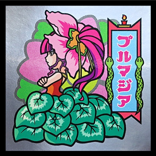 DN-1 プルマジア 普及版 ミステリープランツシール ※裏書き有りに変更