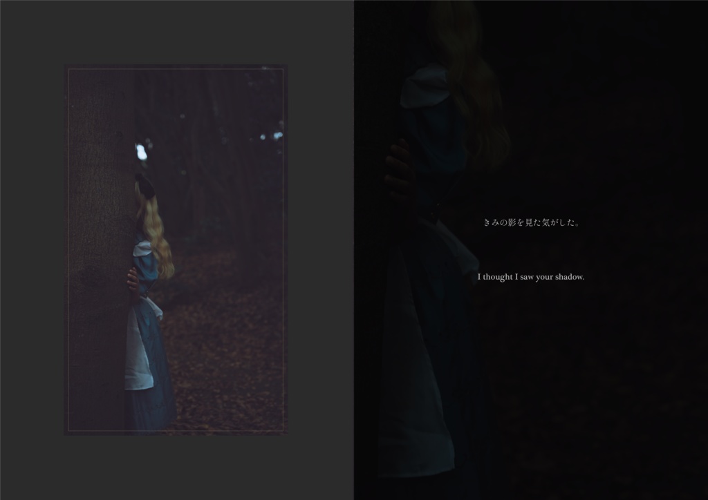 【絵本写真集】名前を知らないきみへ