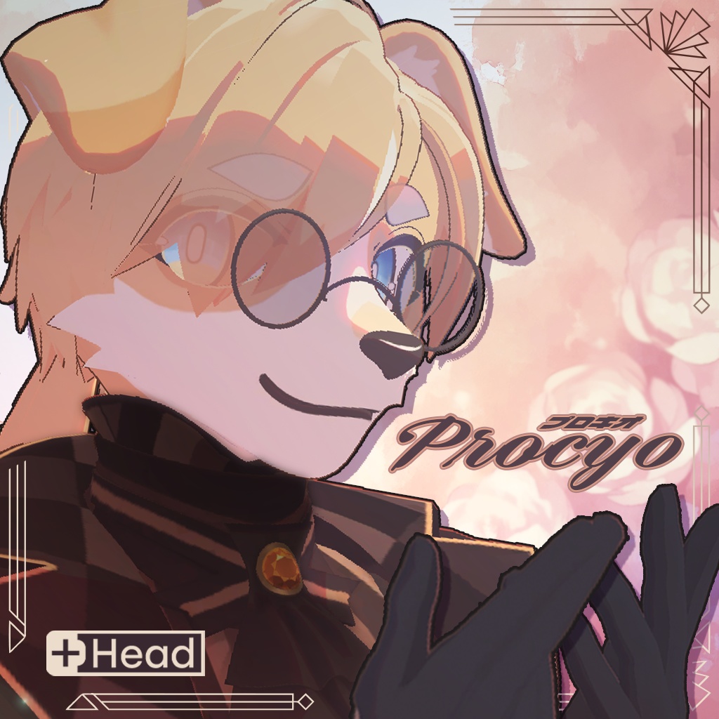 プロキオ -Procyo-