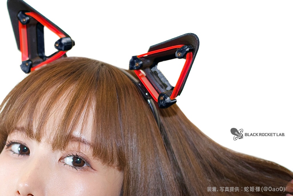 ハイパーぬこみみ T2K 001【A型 or B型 左右セット】