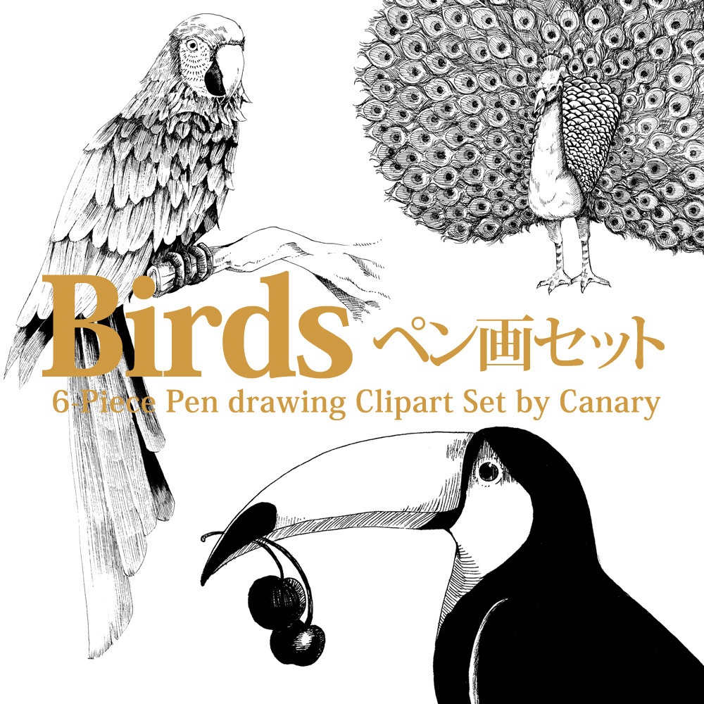 Birds-ペン画セット-[全6種]　