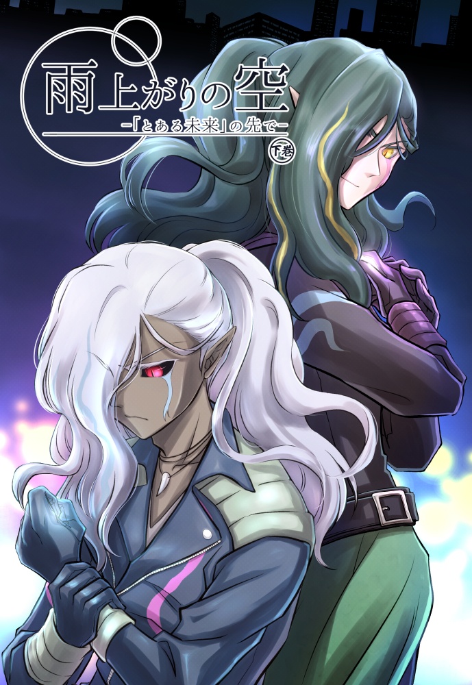 雨上がりの空 -「とある未来」の先で-(上下巻)