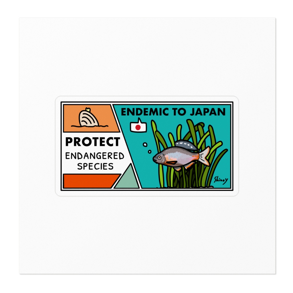 日本の生き物 ミヤコタナゴ