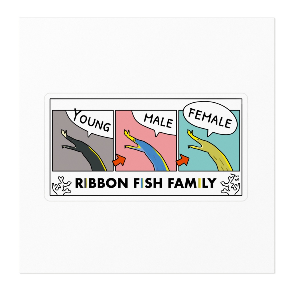 ハナヒゲウツボ一家