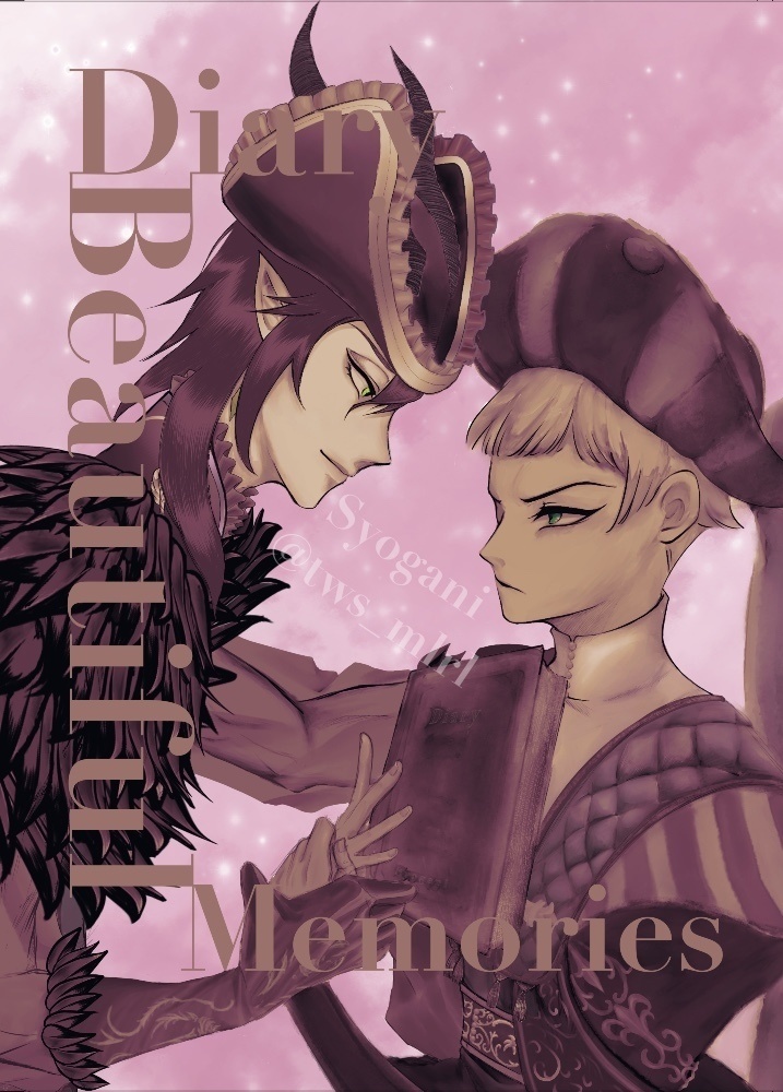 Diary - Beautiful Memories -