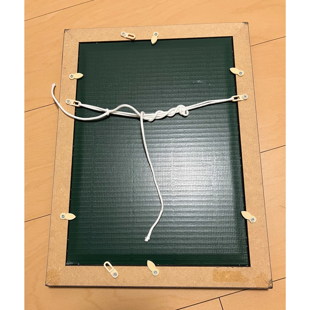 額装作品「赤龍」