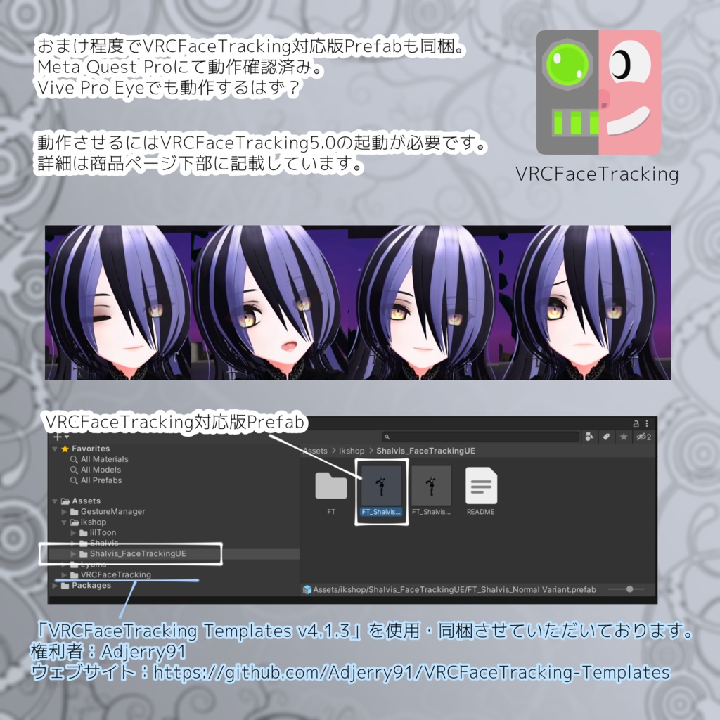 オリジナル3Dモデル「シャルヴィス Shalvis」