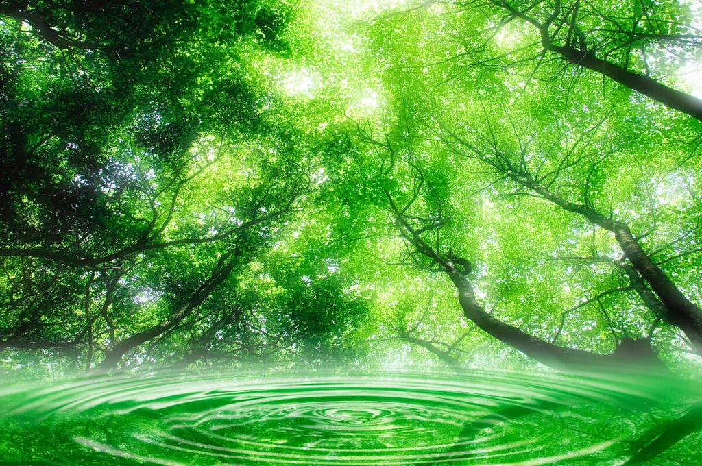 瞑想bgm 静寂で荘厳なイメージの世界5番 Relaxing 著作権フリーbgm