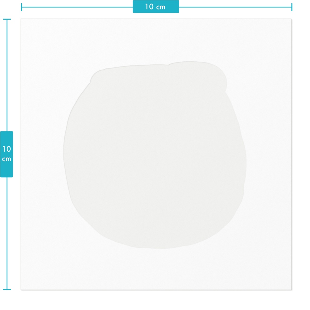 名札燃え豆腐 し~らかんす