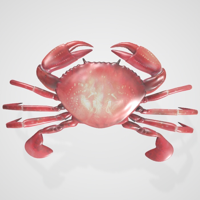 3dモデル　蟹　blender