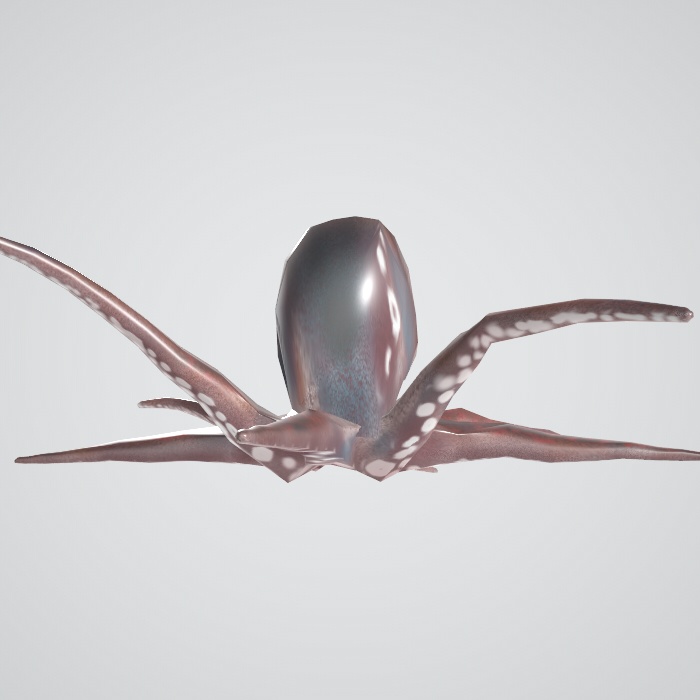 ３ｄモデル　タコ　blender