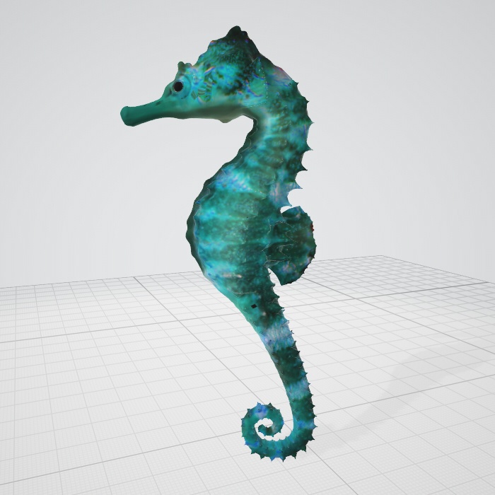 3dモデル　タツノオトシゴ　魚　blender