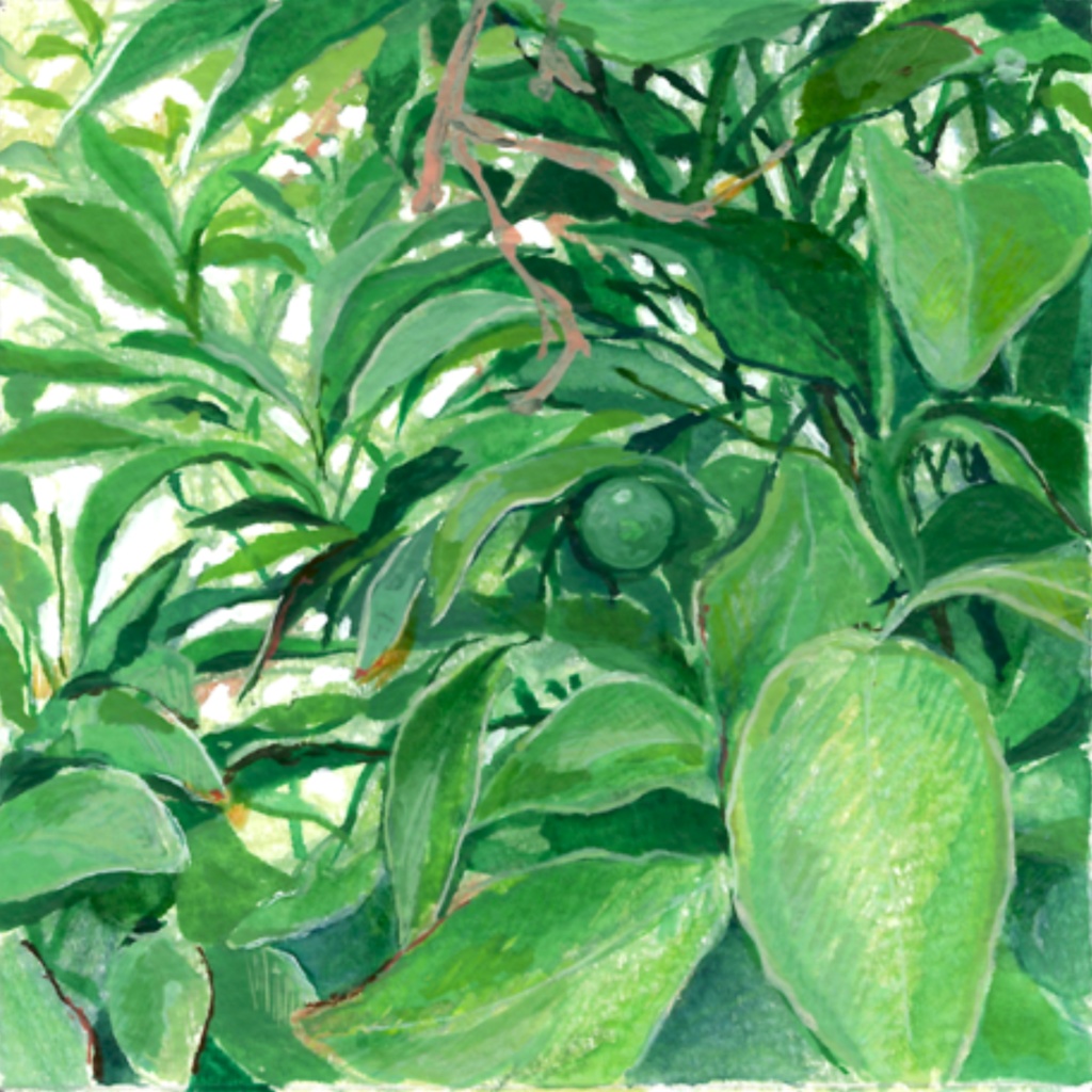 【原画】 グリーンレモン