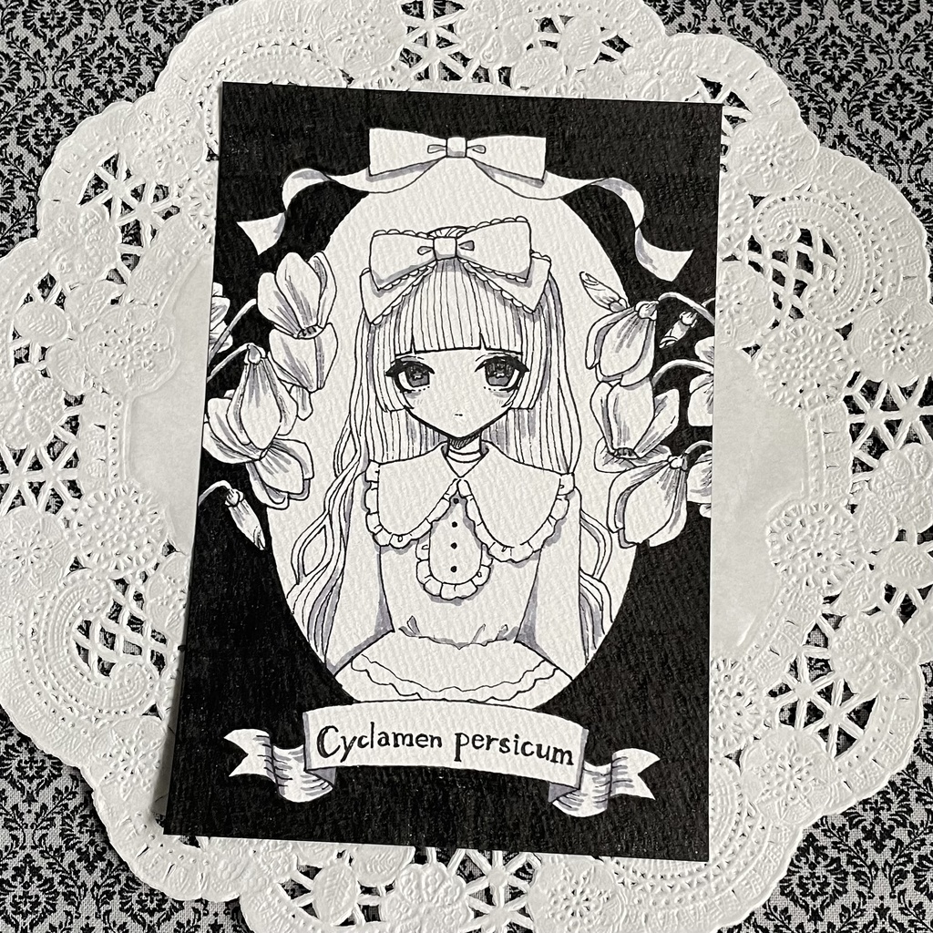 drawing「Cyclamen persicum」