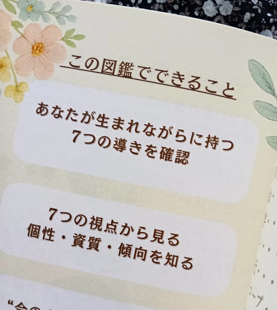 ナナイロお守り図鑑