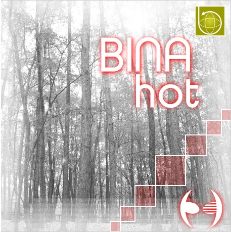 BINA -hot-