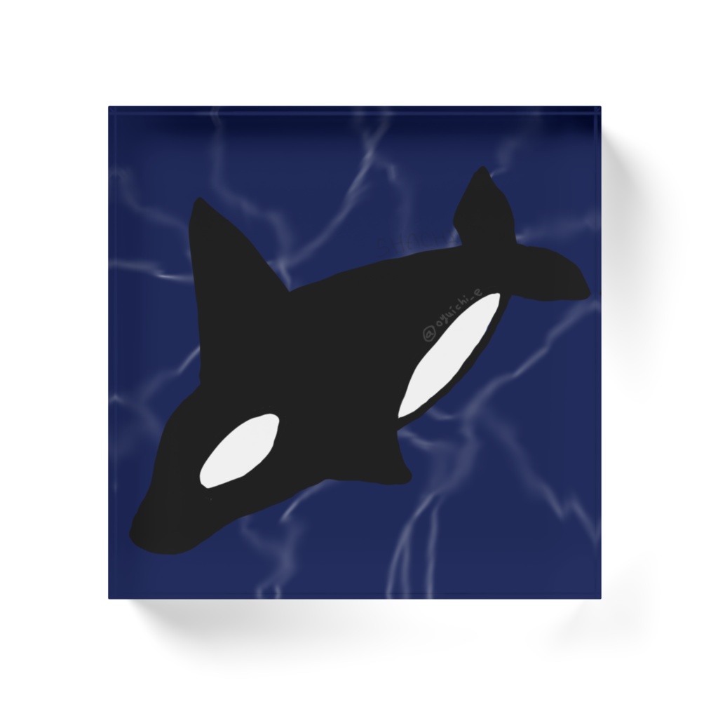 アクブロしゃち