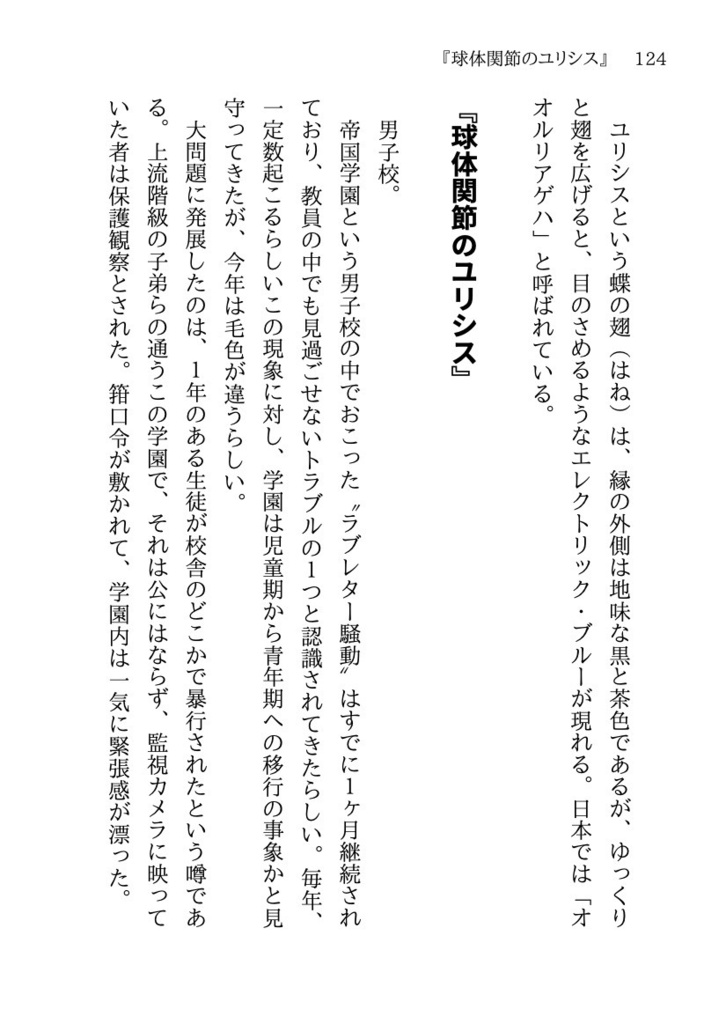 📙2024特典📙 💎『結晶機関』小説同人誌 (文庫サイズの愛蔵版)