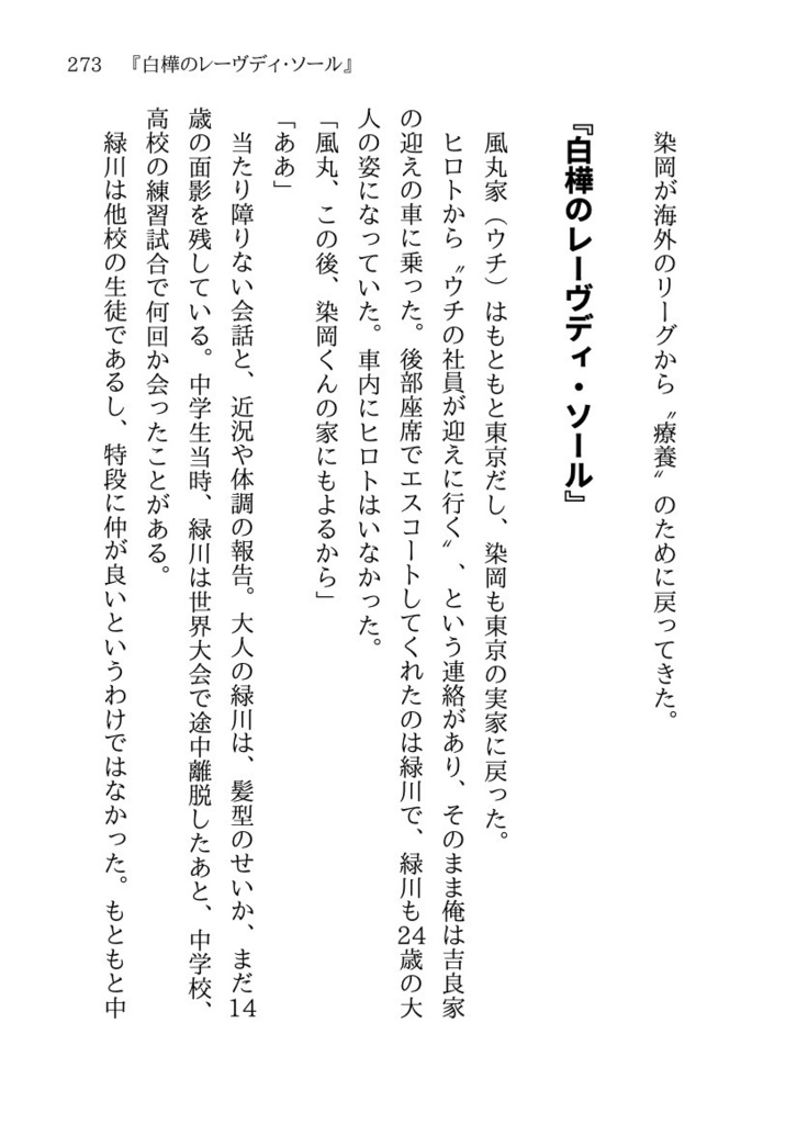 📙2024特典📙 💎『結晶機関』小説同人誌 (文庫サイズの愛蔵版)