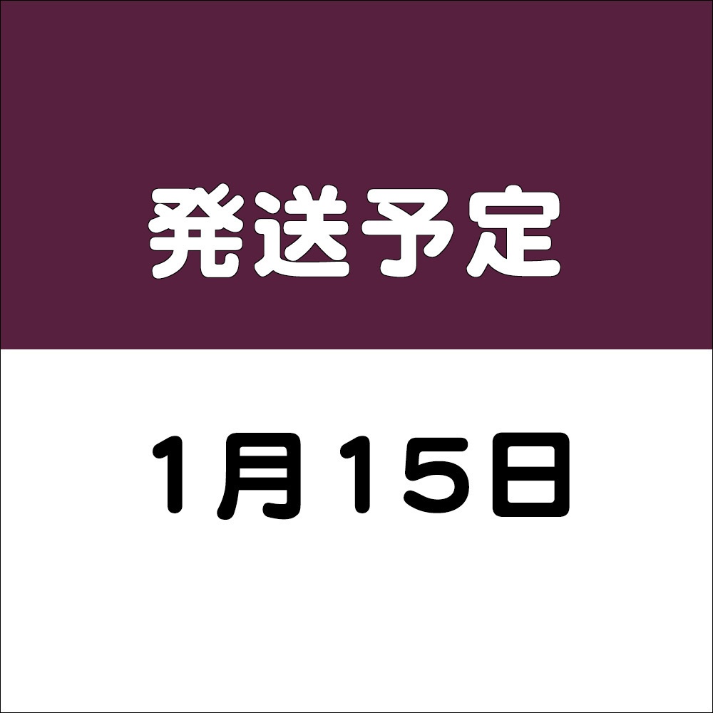 🎍『付き合ってるのナイショなのにバレバレっていう正月を田舎で暮らす不佐久の本』同人誌