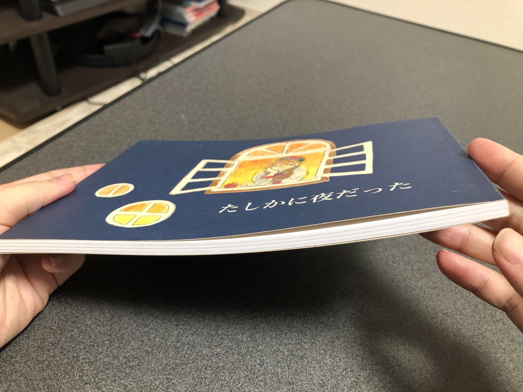 イラスト集「たしかに夜だった」