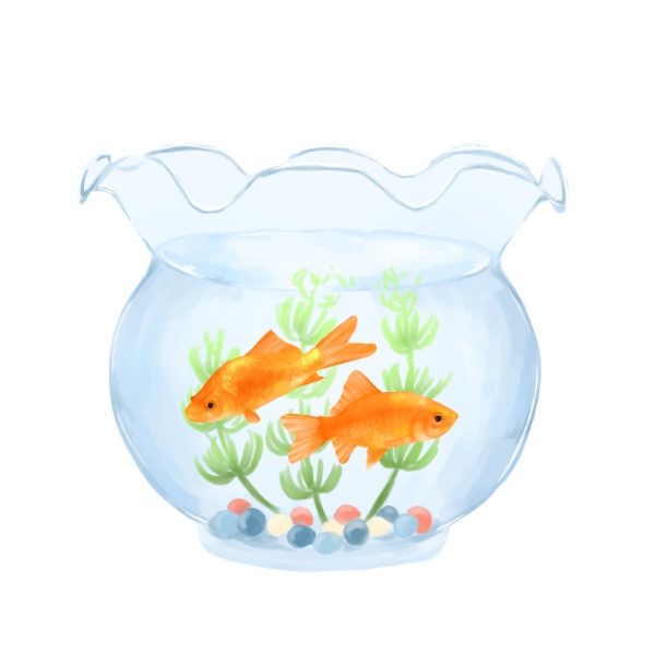 いろいろ金魚_イラスト素材