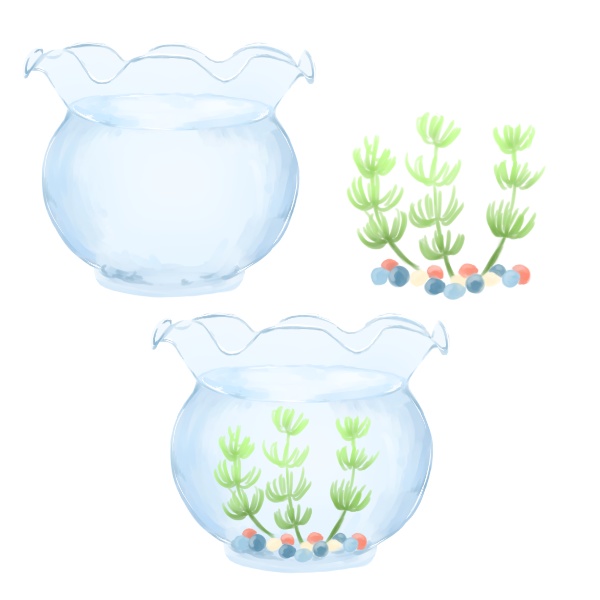 いろいろ金魚_イラスト素材