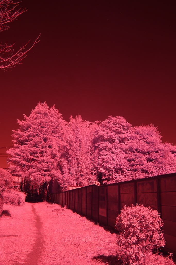 【CC0】無改造デジタルカメラによる赤外線写真