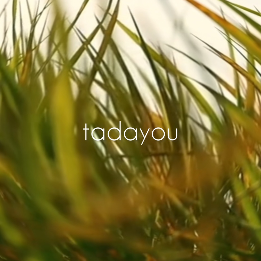 tadayou