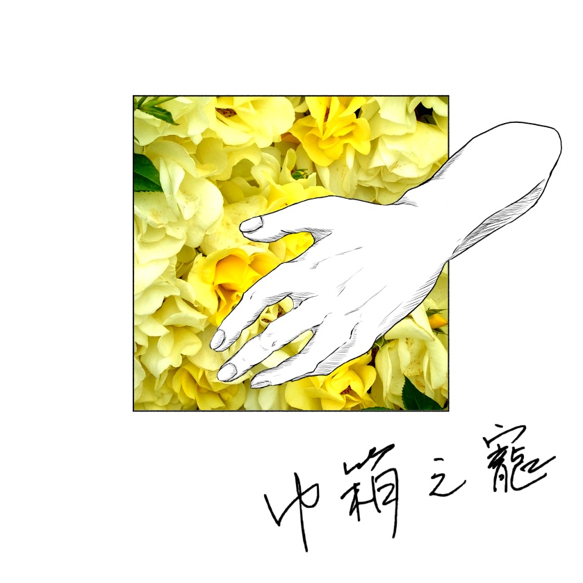 巾箱之寵