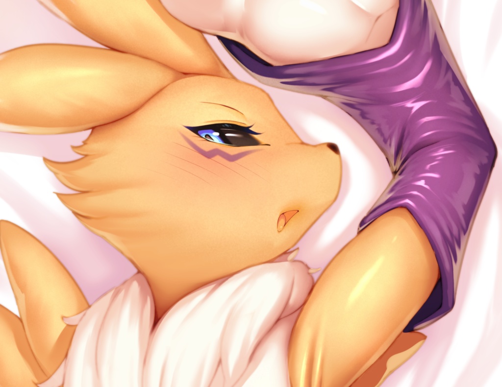 レナモン 抱き枕カバー