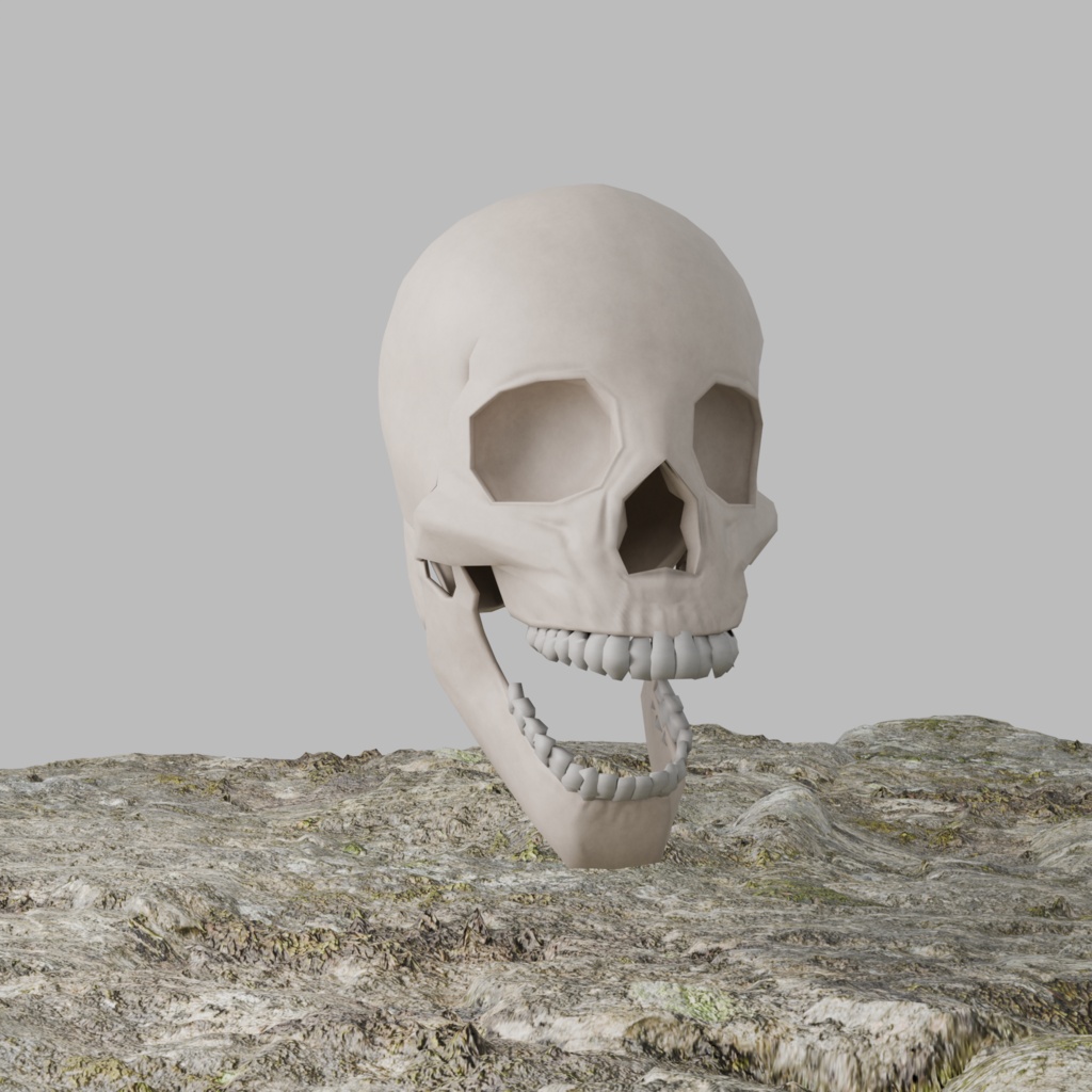 骸骨3Dモデル|Unity対応&軽量