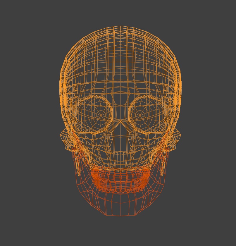 骸骨3Dモデル|Unity対応&軽量