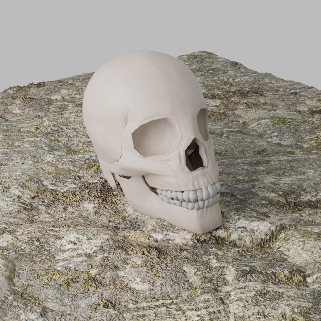 骸骨3Dモデル｜Unity対応＆軽量
