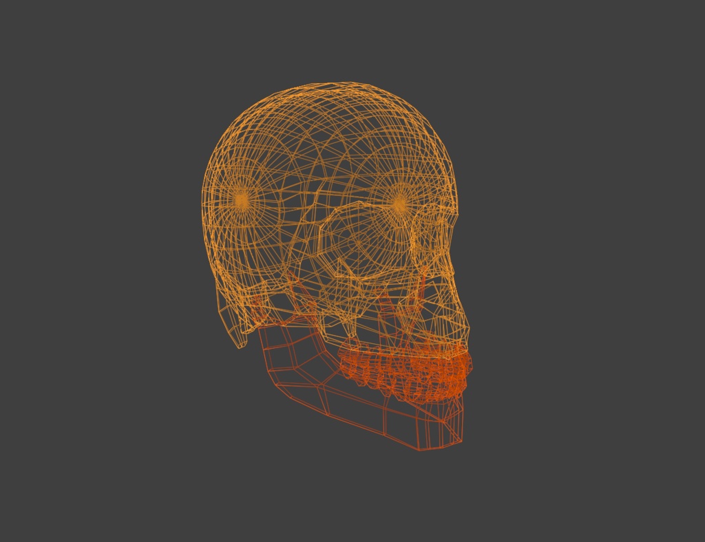骸骨3Dモデル|Unity対応&軽量