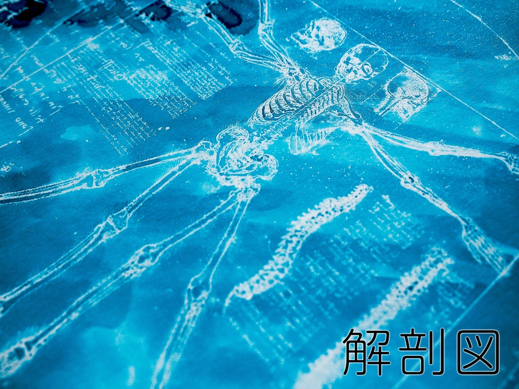 『染彩楽紙』B5