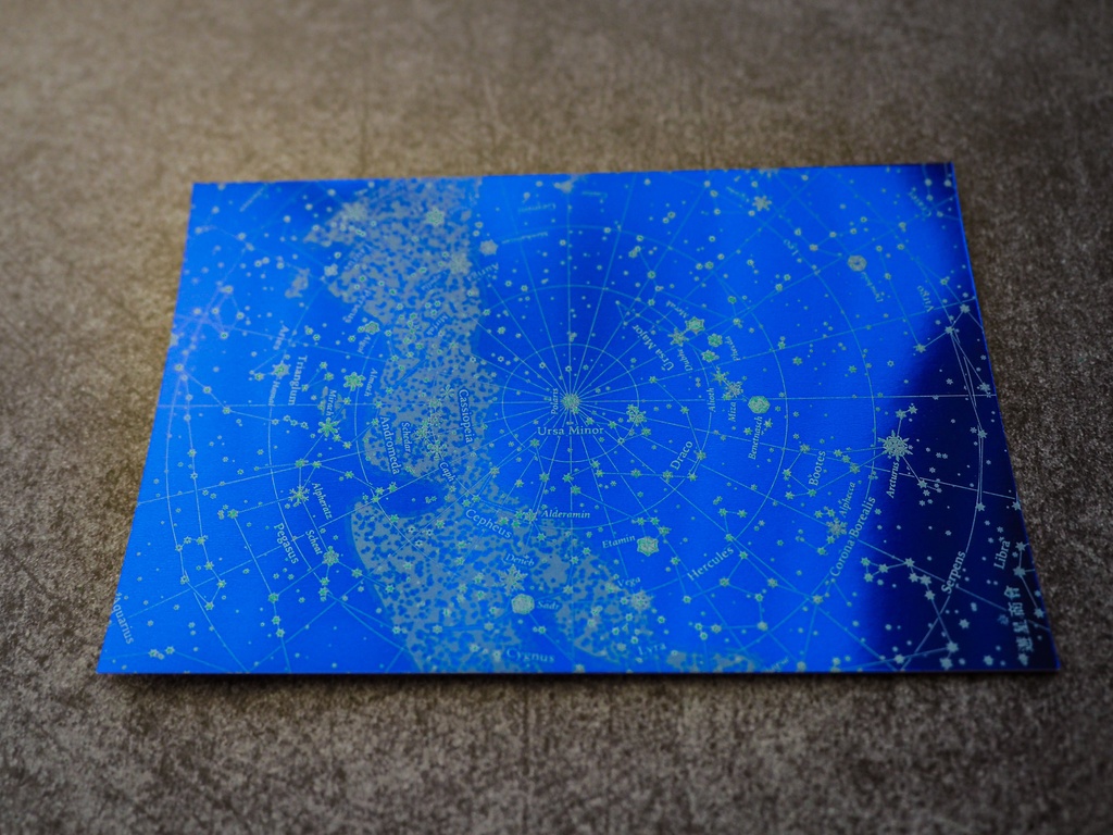 シーリングヘッド(星+星座盤)