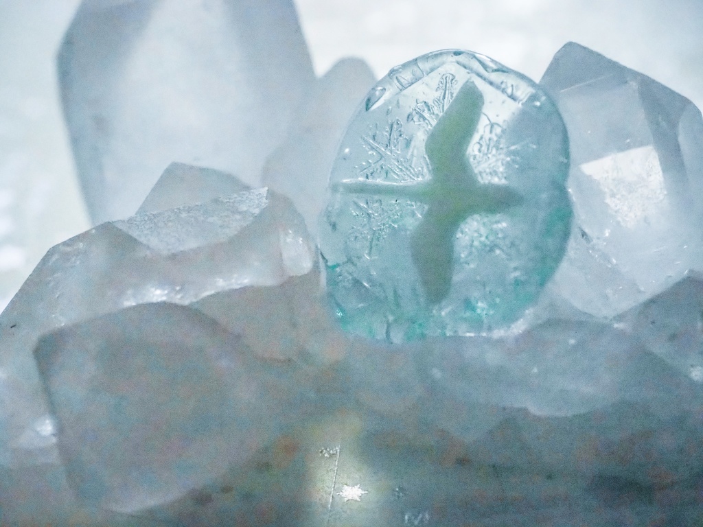 シーリングヘッド(白鳥座/プラネタリウム)